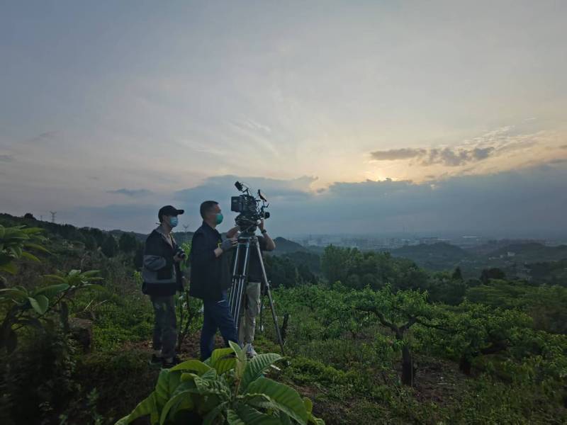 创意破圈！岳普湖县电商产品宣传视频用故事化叙事引爆流量