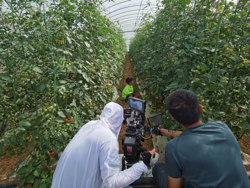 岳普湖县产品宣传视频拍摄公司进阶指南，助力品牌抢占传播高地